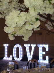 Image25 1682968383 Marquee Letters - LOVE