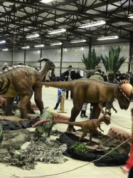 Dino pic show 3 954243920 Dinosaur Exhibit