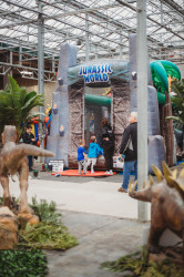 IMG 7453 1714414409 Jurassic World Obstacle Course