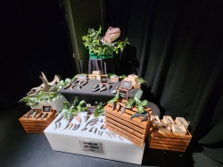 Fossil Dig Fossil Dig