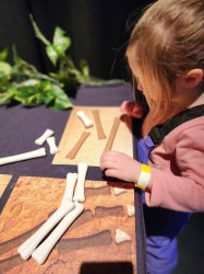 Fossil Dig Fossil Dig