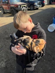 FB IMG 1745030086935 1752287497 Mobile Petting Farm- Add-on Only