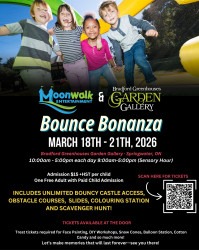 Bounce Bonanza!