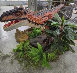 20260102 1050511 1772682758 Animatronic Dinosaurs (Individual)