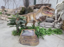 Animatronic Dinosaurs (Individual)
