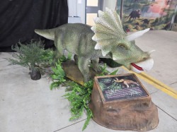 20260102 105313 1772682759 Animatronic Dinosaurs (Individual)