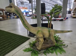 20260102 105945 1772682758 Animatronic Dinosaurs (Individual)