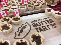 Moonwalk Kids Zone at 2026 Ontario’s Best Butter Tart Festival