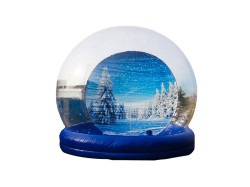Winter Photo Globe